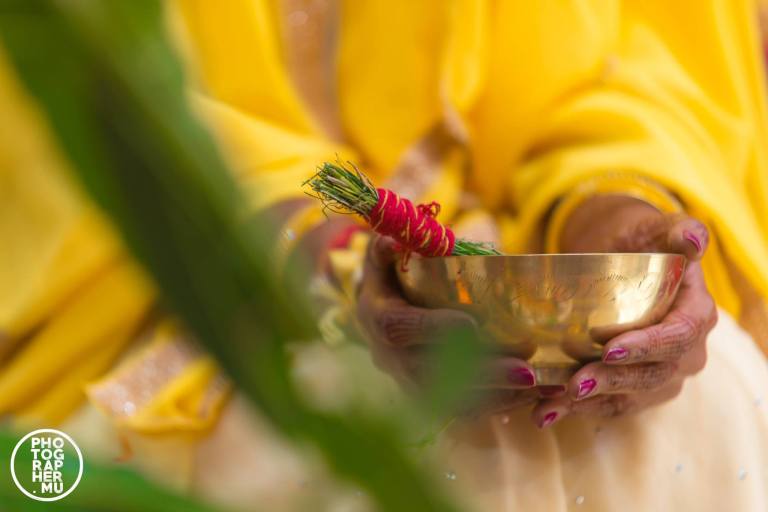 19620488_1446687292092111_2728840471200794356_o